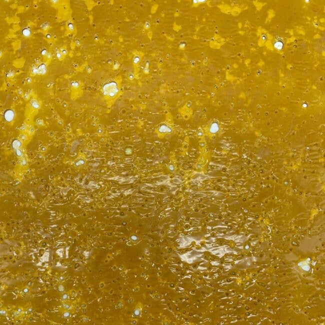 Indica Shatter