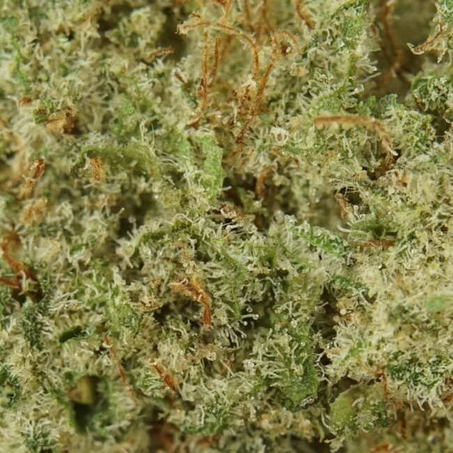 AAAA Cannabis