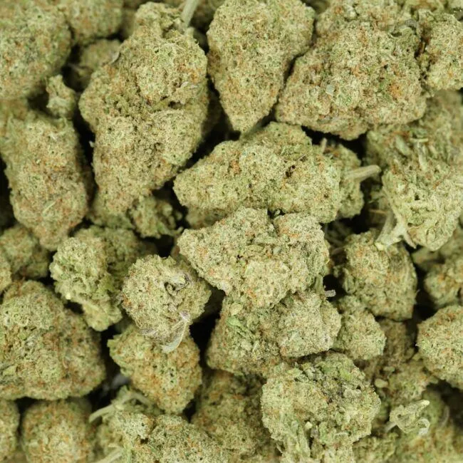 Euphoria Flower