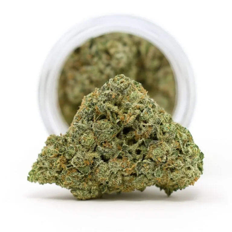 close-up of a dense cannabis bud resting in front of a glass jar, displayed on a crisp white background with natural lighting and visible trichome detail.