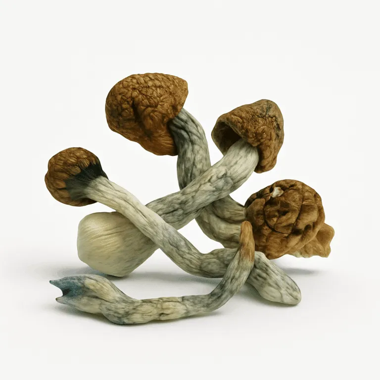 Potent Shrooms