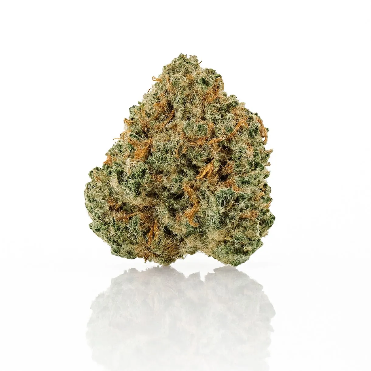 twisted extracts