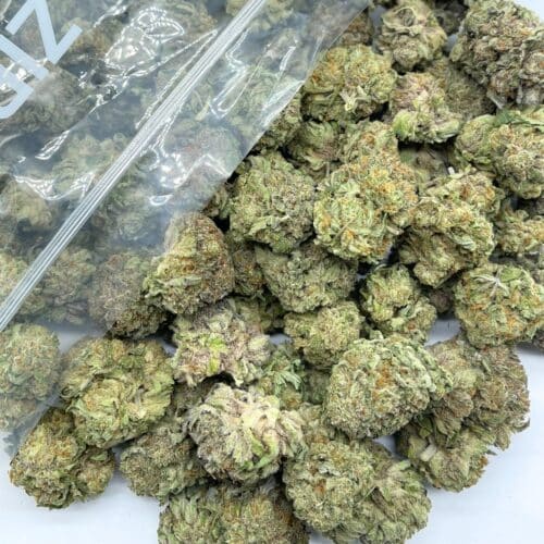 Animal Sherbet Bulk
