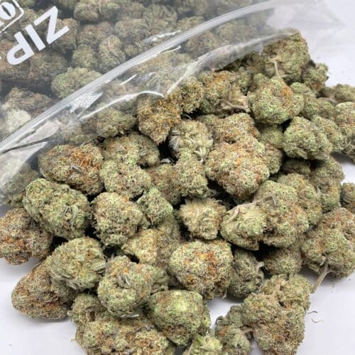 Truffle Indica