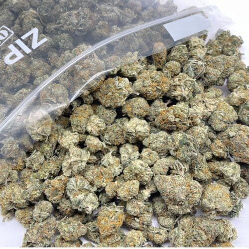 Black Skunk Berry