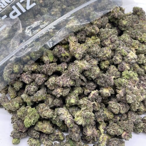 Red Congo Sativa