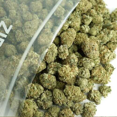 SLAPZ Indica