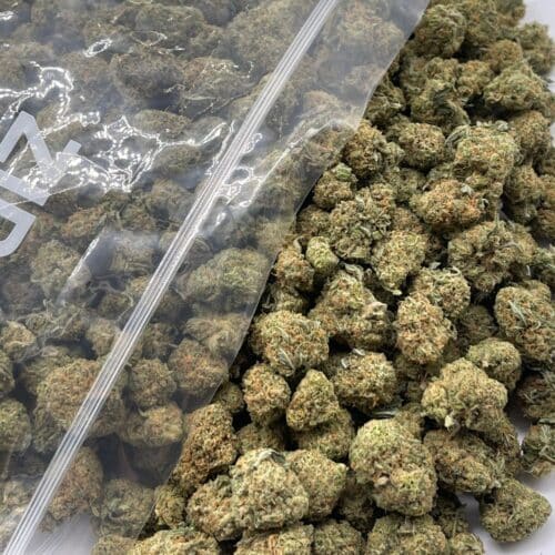 Blue Meanies Pack