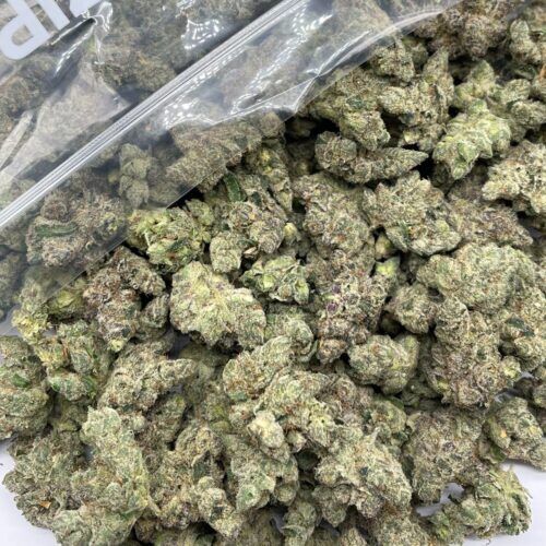 Violet Fog Indica