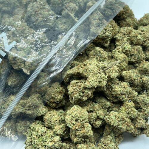 SLAPZ Indica