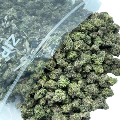 Jungle Cookies Bulk