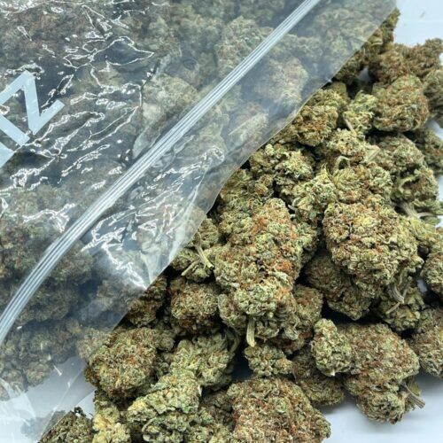 GMO Punch Indica
