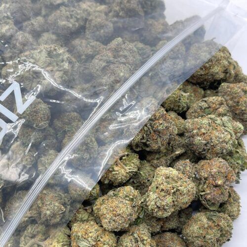 I-95 Indica AAA
