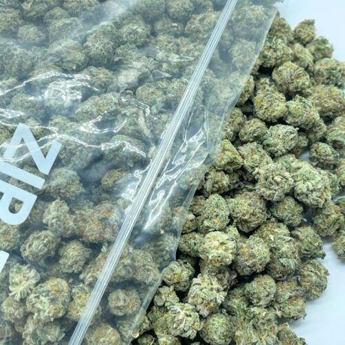 Girl Scout Cookies
