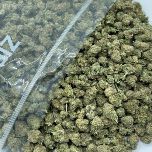 I-95 Trim Indica