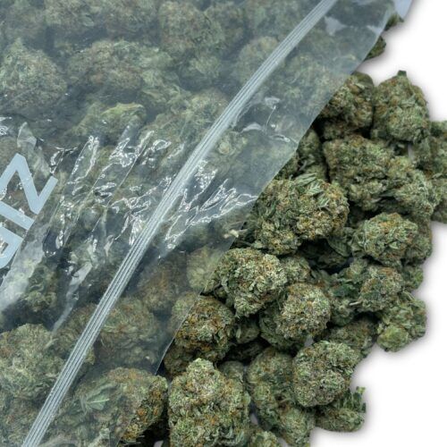 King Kong Indica