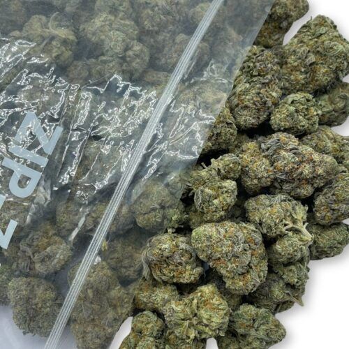 Blackberry Kush AAA