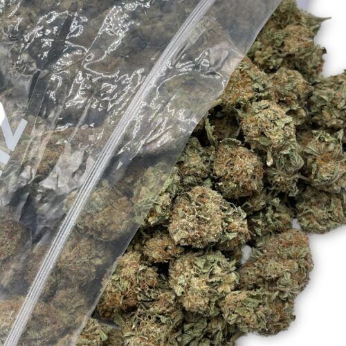 Hollywood OG Bud