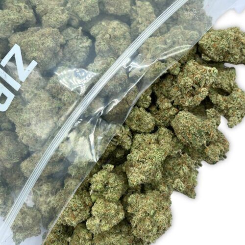 Pink Death Indica