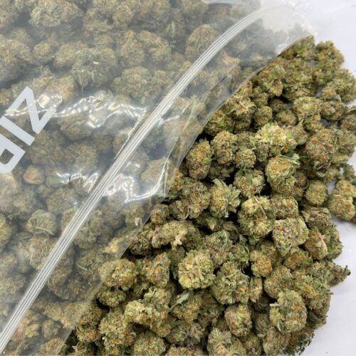 Indica Hybrid Bulk