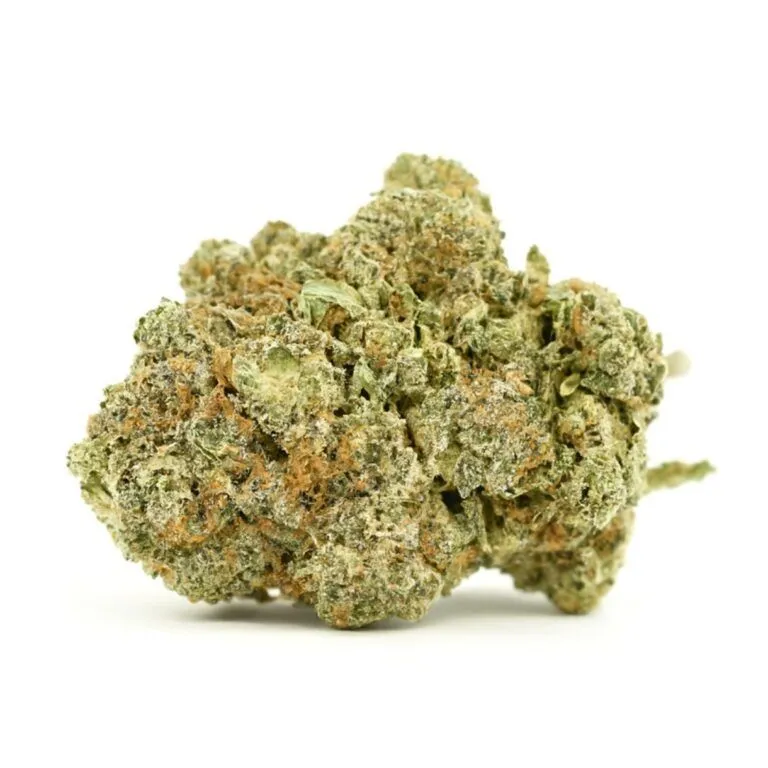 Close-up of dense cannabis bud with frosty trichomes and orange hairs on a white background.