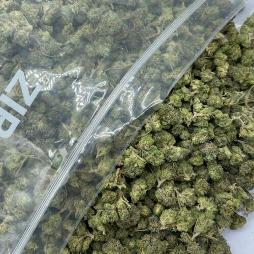 Balanced Shatter