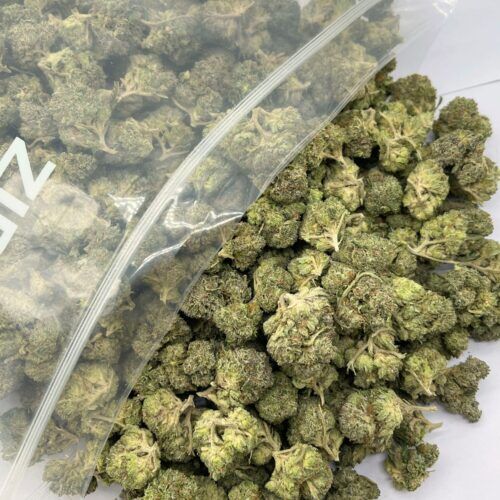 Astro Pink Indica