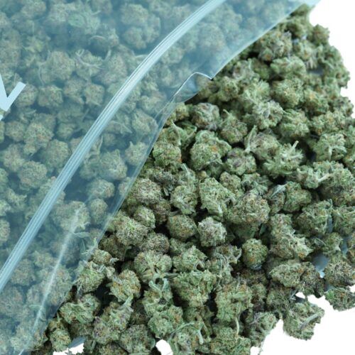 Amsterdamn Indica