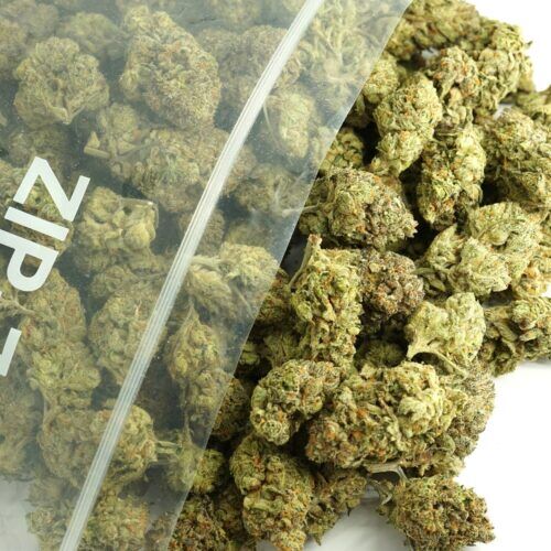 Black Bobby Indica