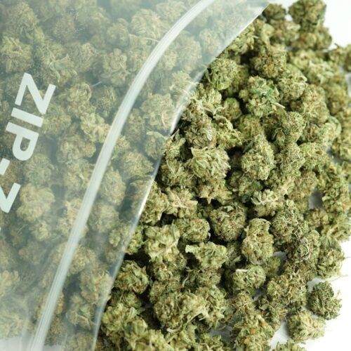 Sunset Pop Indica