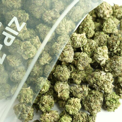 OREOZ Bulk Indica