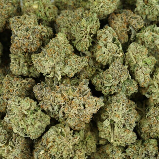 AAA Indica