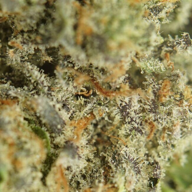 Indica Flower AAA