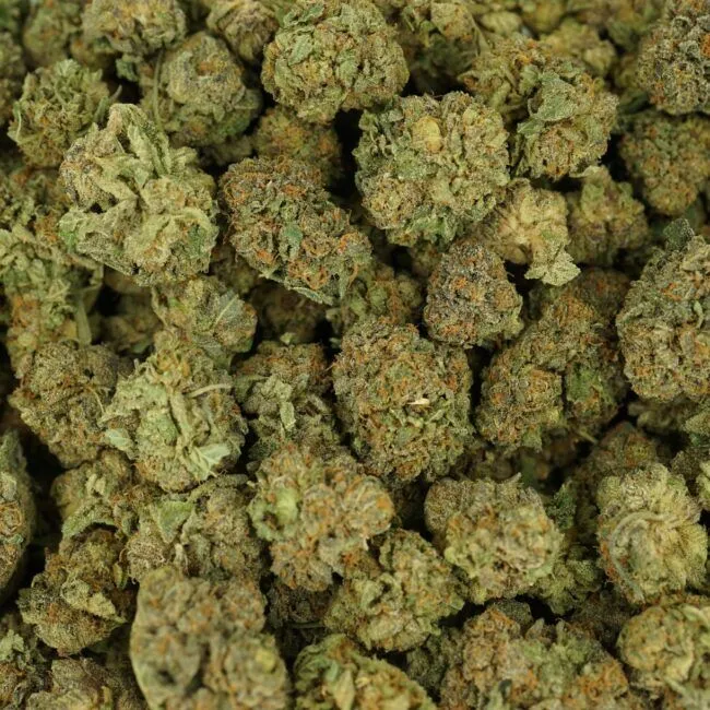 28GR - WEDDING CAKE - BALANCED HYBRID - (AAA) - Image 3