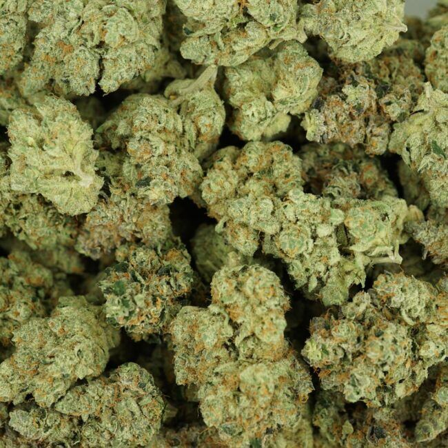 7gr - 91 PUNCH - BALANCED HYBRID - (AAAA) - Image 3
