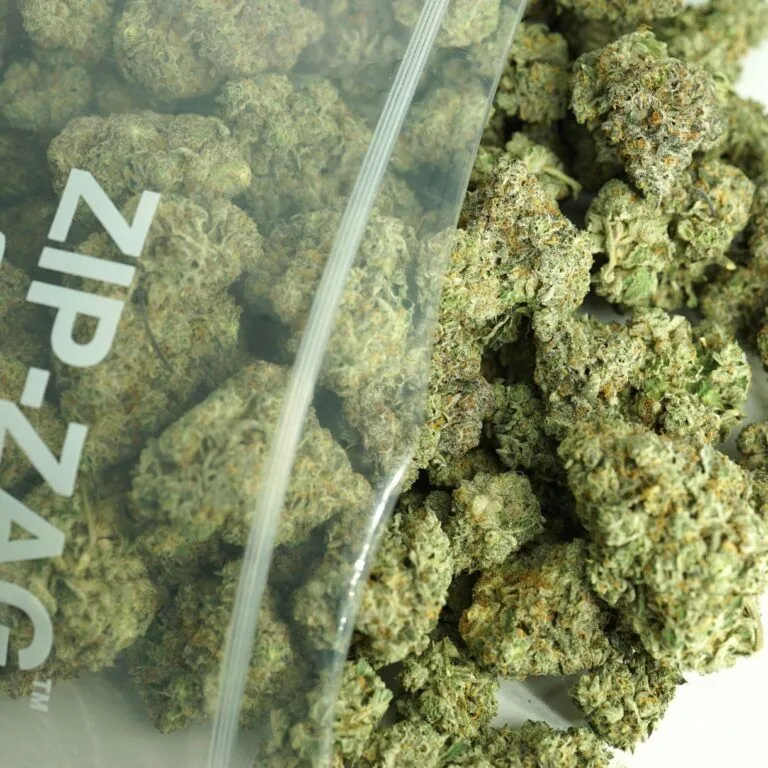 Close-up image of cannabis buds spilling out of a clear ZIP-ZAG plastic bag onto a white surface, showing dense green nugs with visible trichomes and orange hairs.