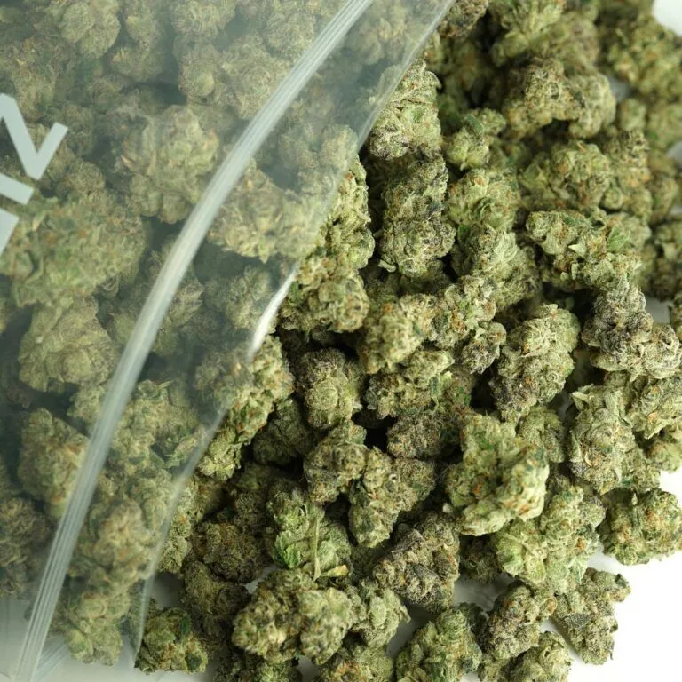 Close-up image of cannabis buds spilling out of a clear ZIP-ZAG plastic bag onto a white surface, showing dense green nugs with visible trichomes and orange hairs.