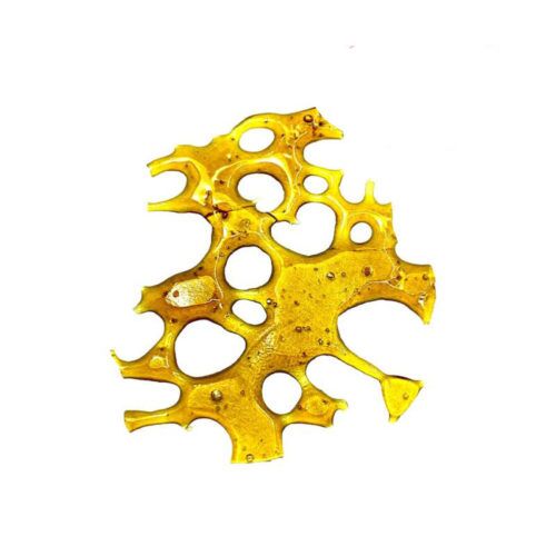 Jack Herer Shatter
