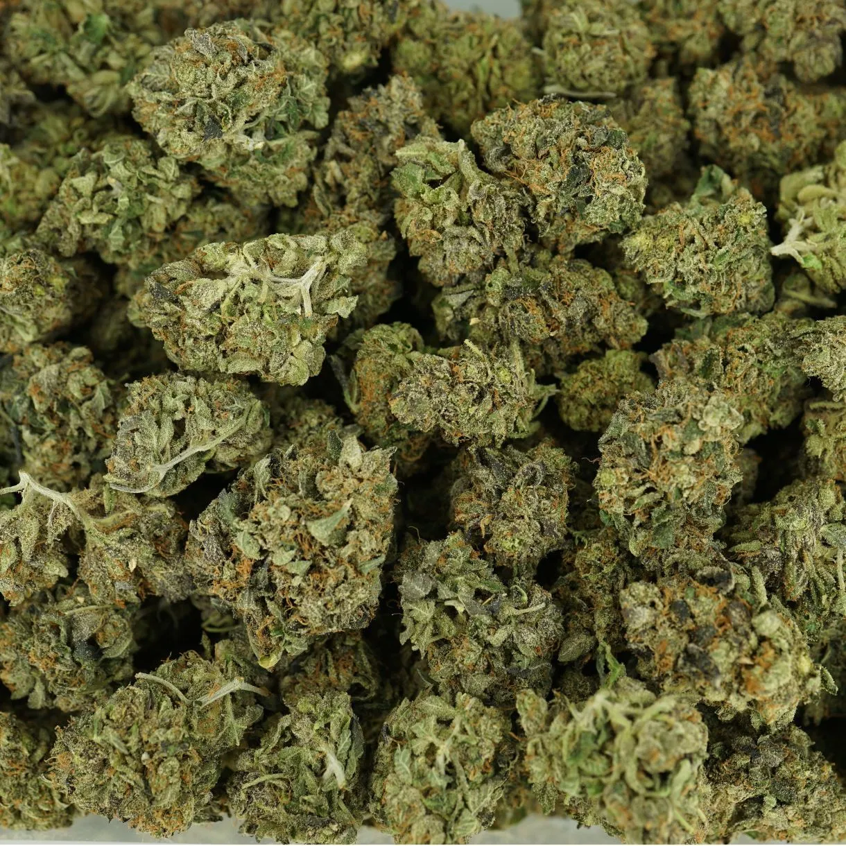 28gr - PINKMAN GOO - INDICA - (AAA) - Image 3