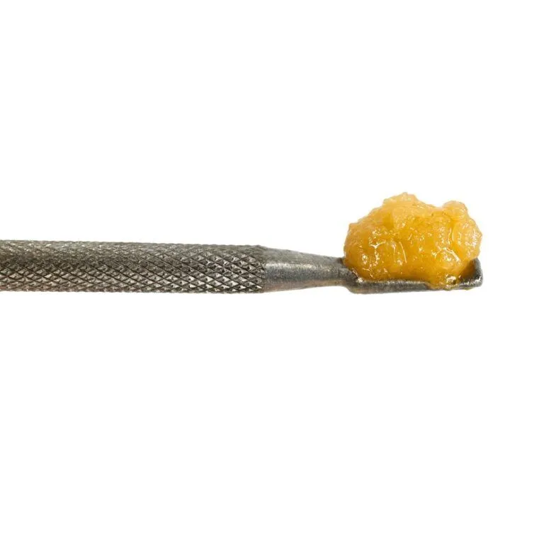close-up of golden cannabis sugar wax on a stainless steel dab tool, isolated on a crisp white background with realistic color balance and texture detail.