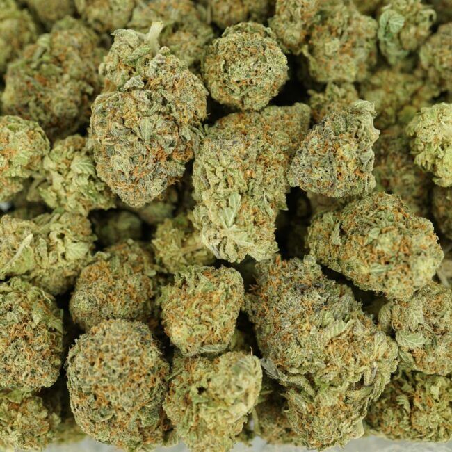 28gr - BLUE COMA - BALANCED HYBRID - (AAA) - Image 3