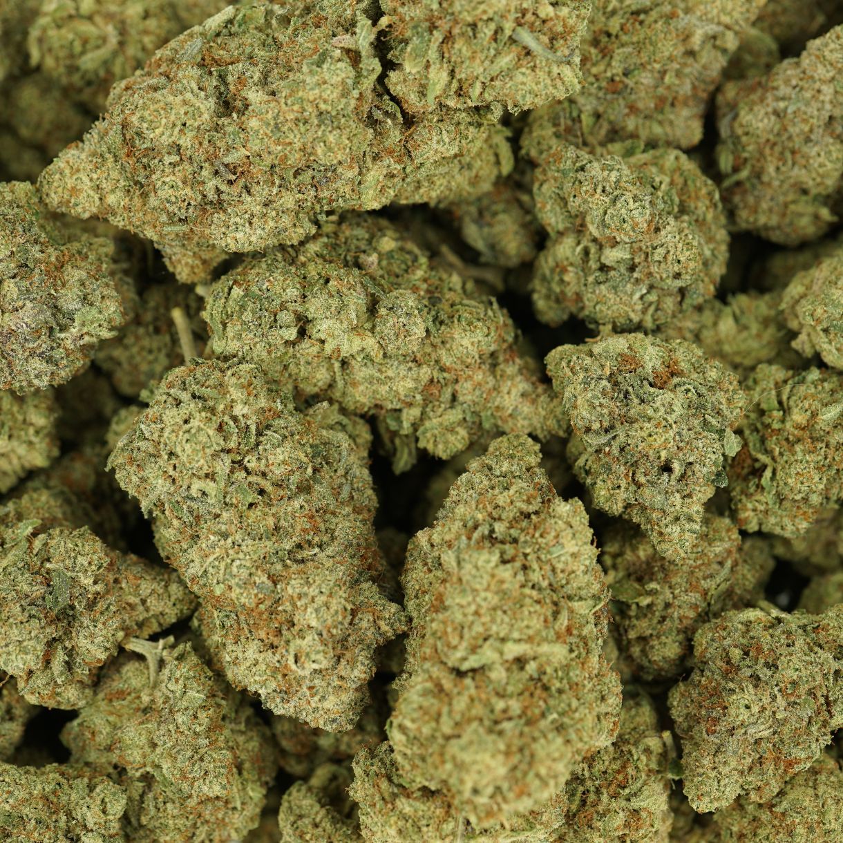 28gr - BRAIN'S DAMAGE - INDICA - (AAA) - Image 3