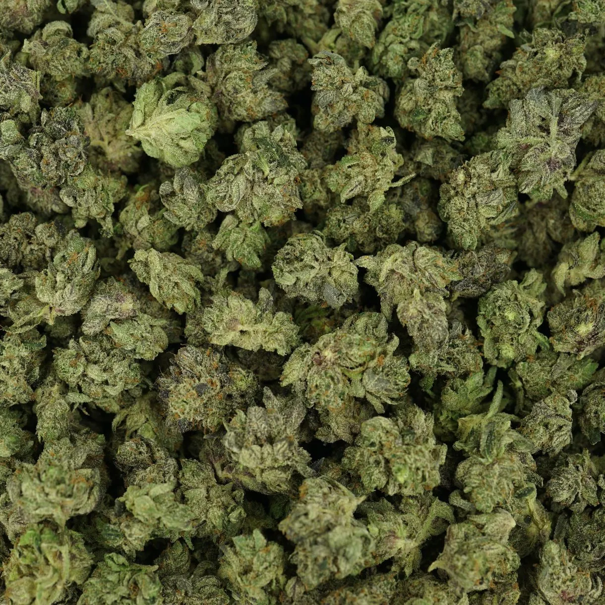 28gr - ROCKSTAR BUBBA (SMALLS) - INDICA - (AAA) - Image 3