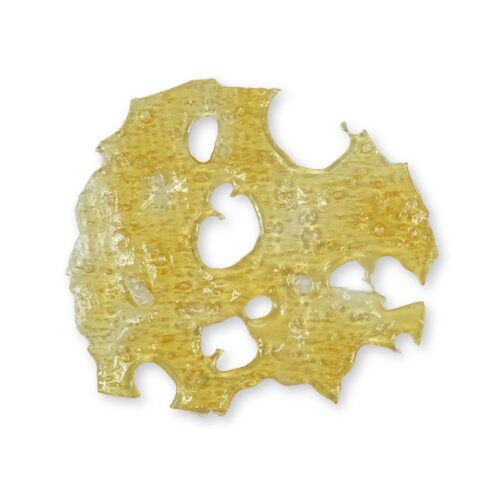 Golden cannabis shatter slab with translucent, glassy texture and natural holes, displayed on a clean white background.