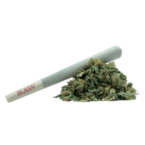 Pink Rockstar Smalls