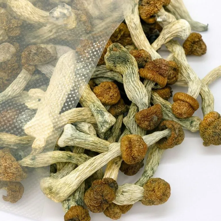 Mimosa Honey Oil