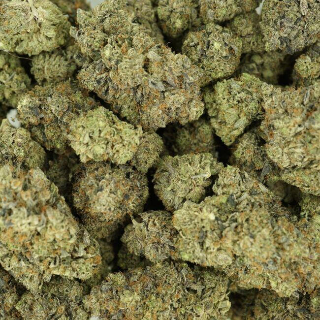 28gr - ANIMAL GAS - INDICA - (AAA) - Image 3