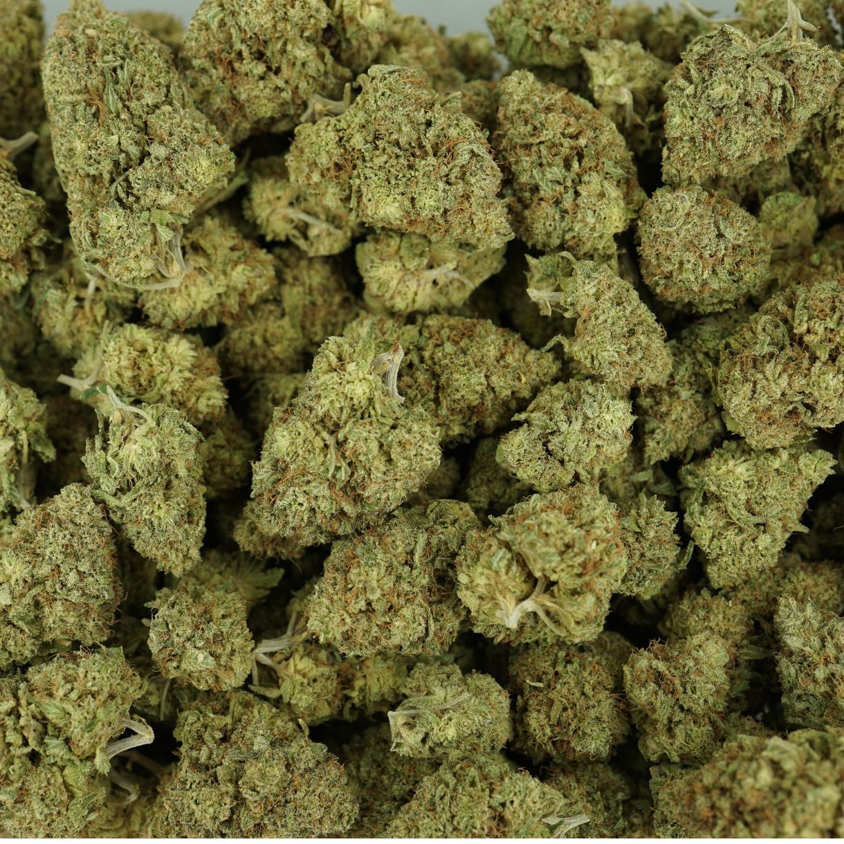 28gr - BLUE ZKITTLEZ - INDICA - (AAA) - Image 3