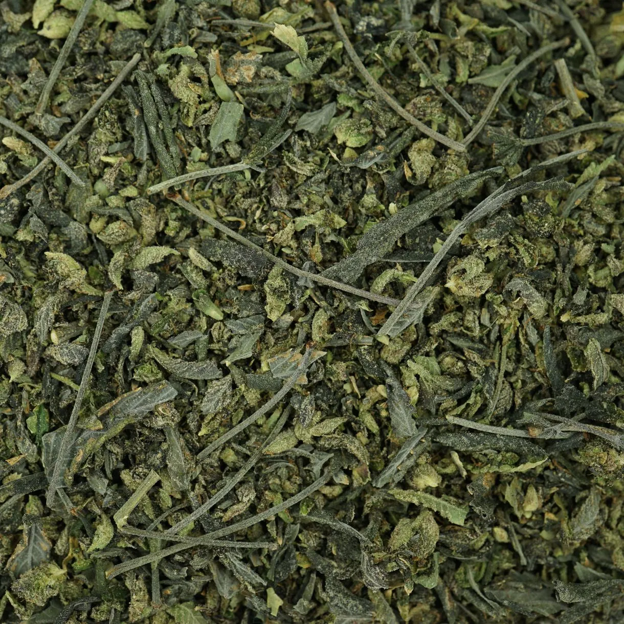 2oz – ROCKSTAR TRIM – BALANCED HYBRID - Image 3