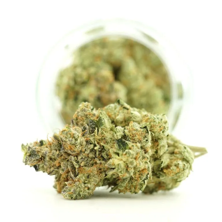 “Macro shot of dense cannabis bud with orange hairs and frosty trichomes, resting in front of a glass jar on a clean white background.